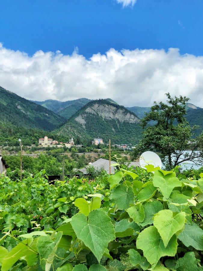 Achela'S Guesthouse Borjomi Exterior photo