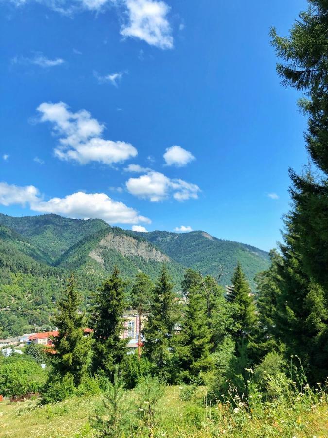 Achela'S Guesthouse Borjomi Exterior photo